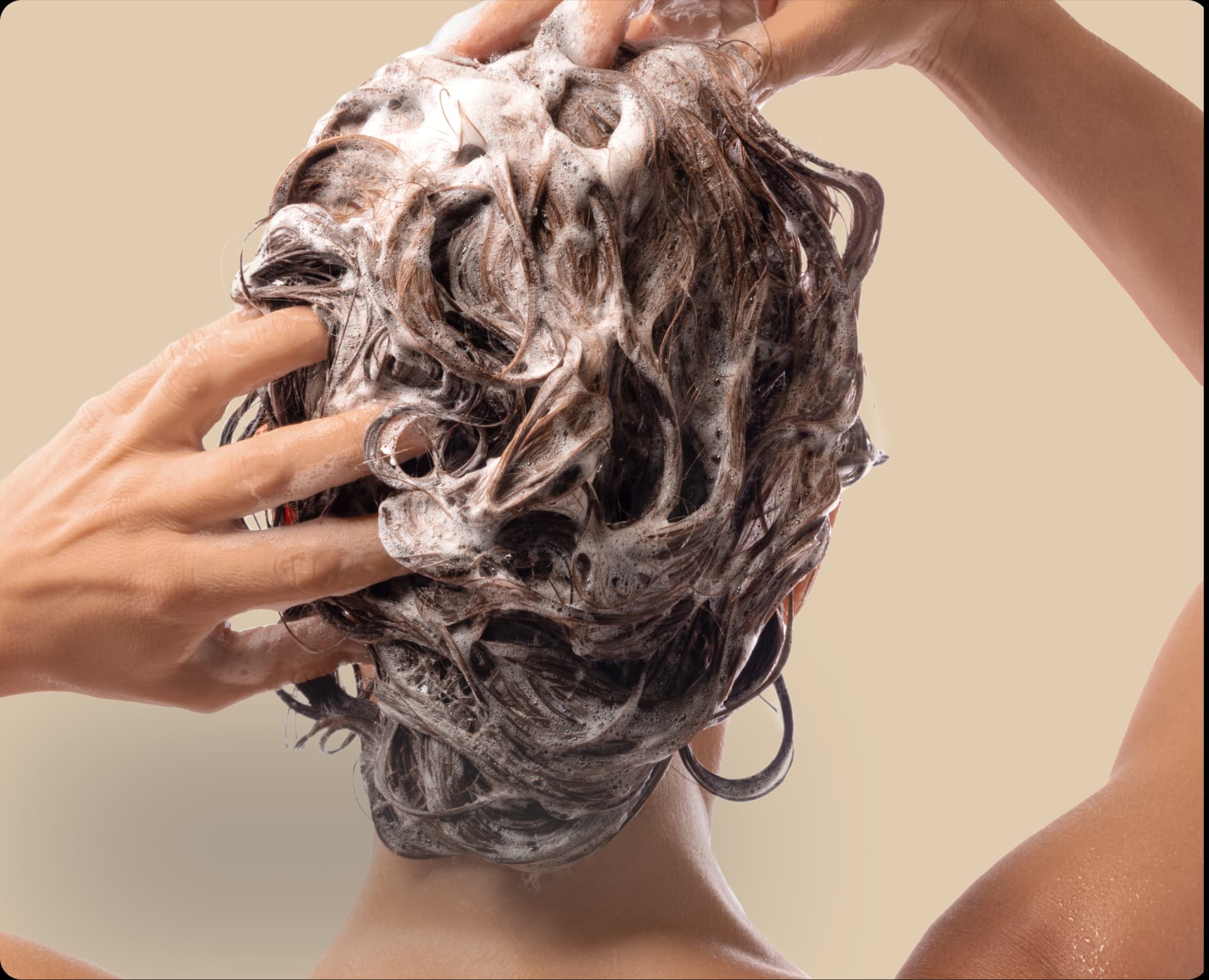 Шампуни фото 1 Шампуни фото 1