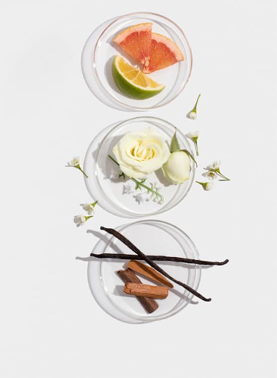 Biolage – профессиональная косметика для ухода за волосами фото 21 Biolage – профессиональная косметика для ухода за волосами фото 21