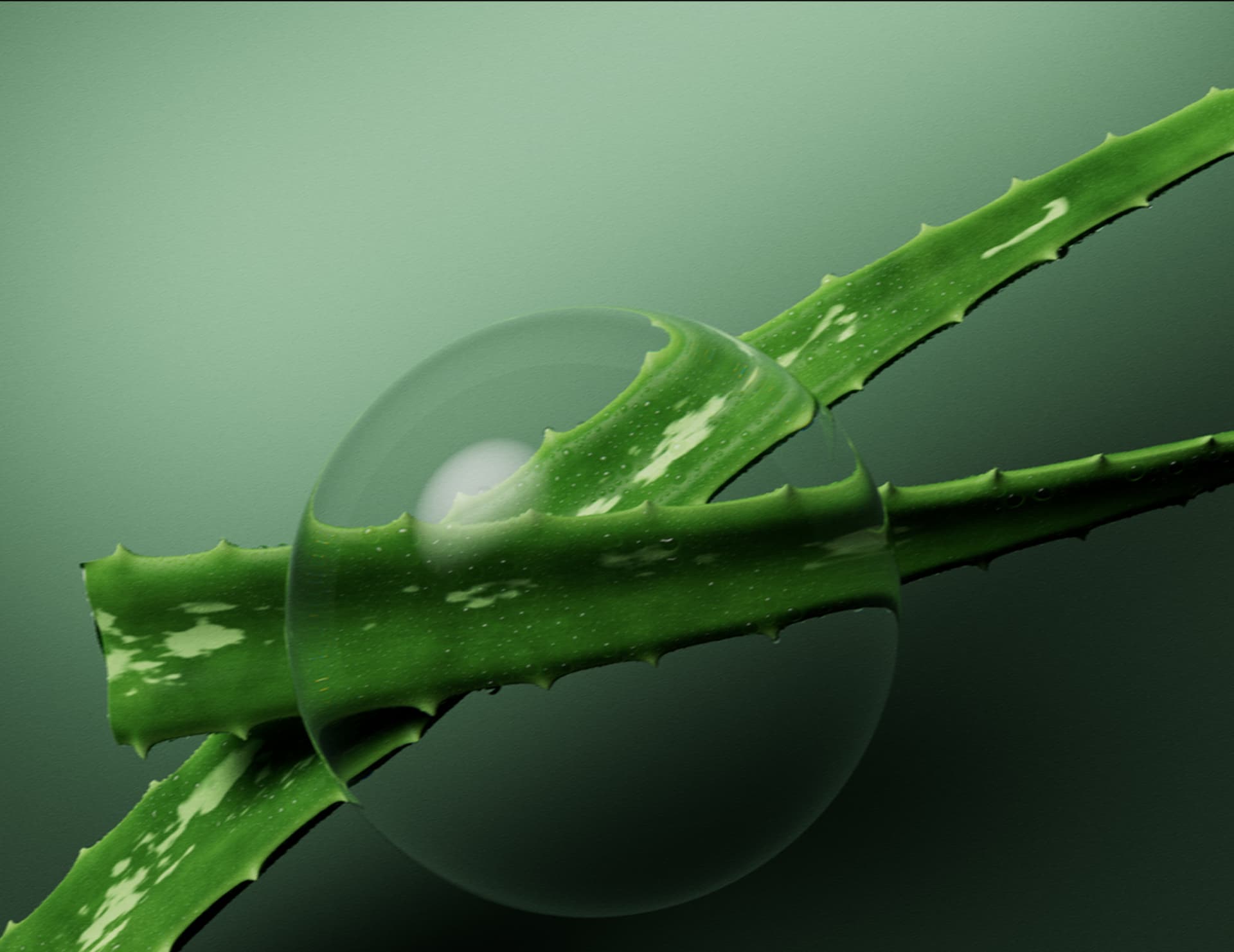 Увлажняющий шампунь Biolage Hydra Source для сухих и ломких волос, 400 мл фото 13 Увлажняющий шампунь Biolage Hydra Source для сухих и ломких волос, 400 мл фото 13