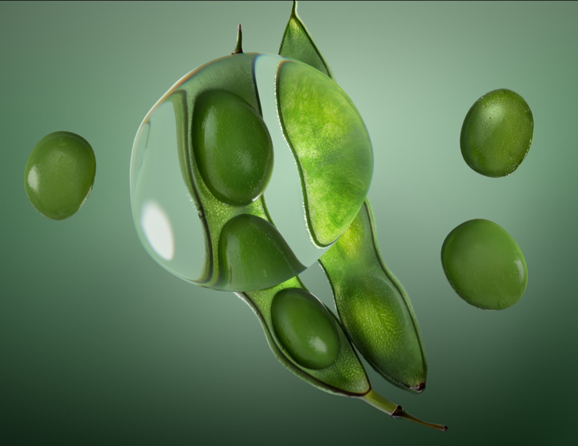 Рефил шампуня Biolage Color Last для окрашенных волос, 500 мл фото 13 Рефил шампуня Biolage Color Last для окрашенных волос, 500 мл фото 13