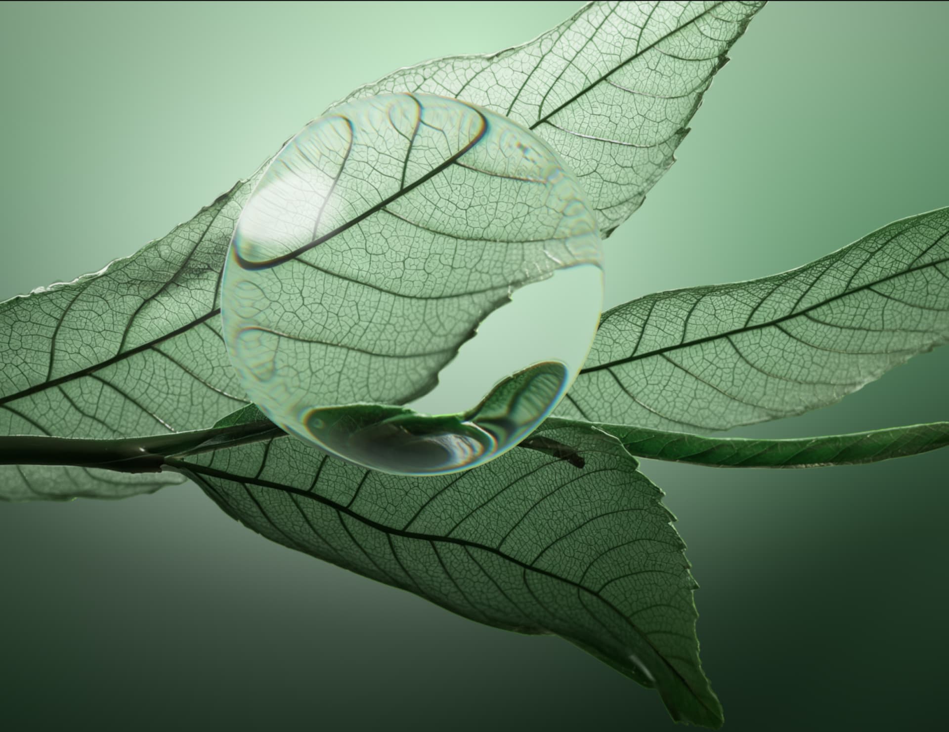 Сыворотка для нормализации кожи головы Scalp Sync, 50 мл фото 13 Сыворотка для нормализации кожи головы Scalp Sync, 50 мл фото 13